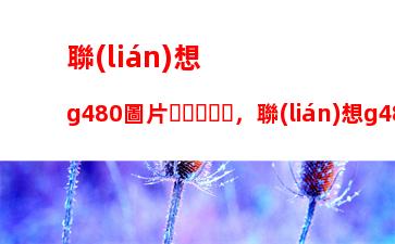 聯(lián)想g480圖片，聯(lián)想g480電源適配器參數(shù)